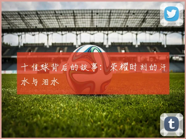 十佳球背后的故事:荣耀时刻的汗水与泪水