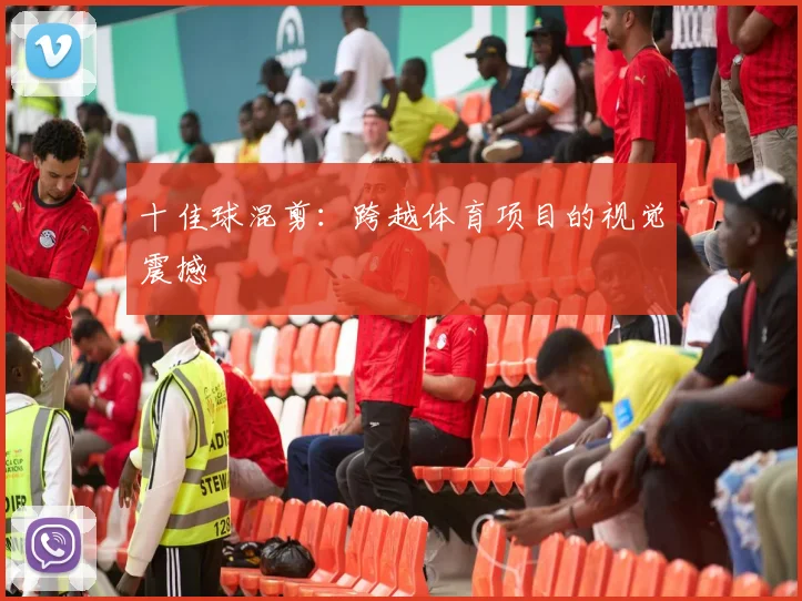 十佳球混剪：跨越体育项目的视觉震撼