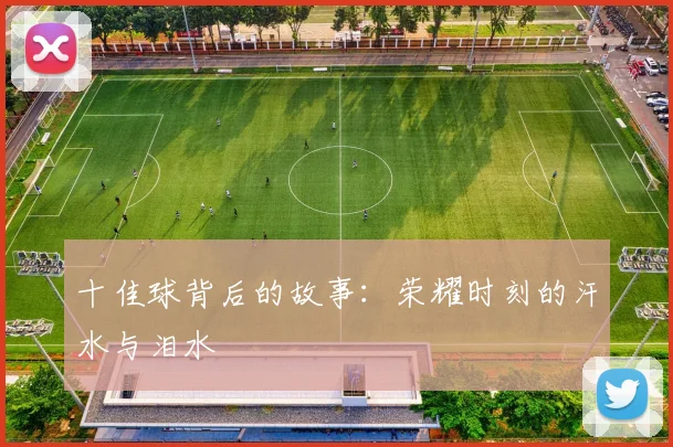 十佳球背后的故事：荣耀时刻的汗水与泪水