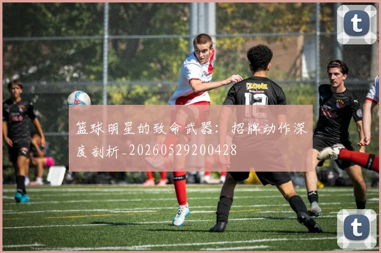 篮球明星的致命武器：招牌动作深度剖析_20260529200428